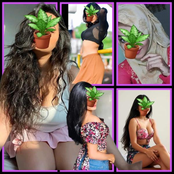 Image of FULL  SERVICE COLOMBO 🧚