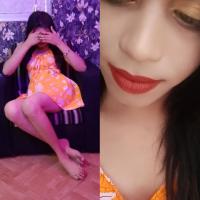 Image of Transgrader full service පන්නිපිටිය listing image